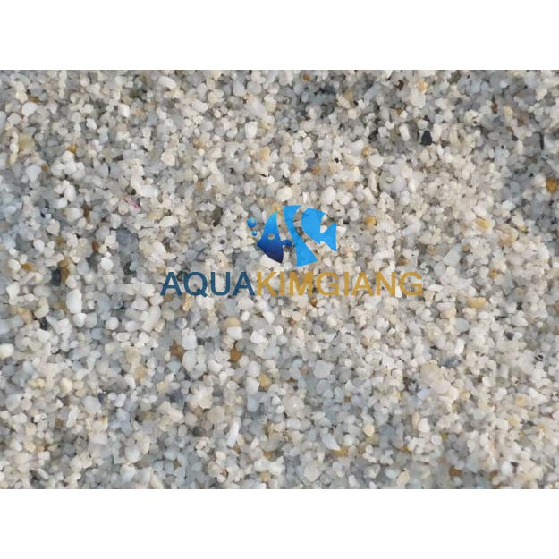 3KG cát trải nền bể cá cảnh, hồ thủy sinh