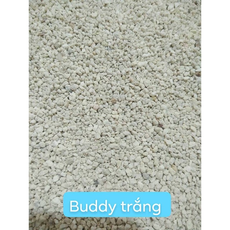 Cát Buddy Trăng 1Kg Siêu Sạch Siêu Khử Mùi Hamster