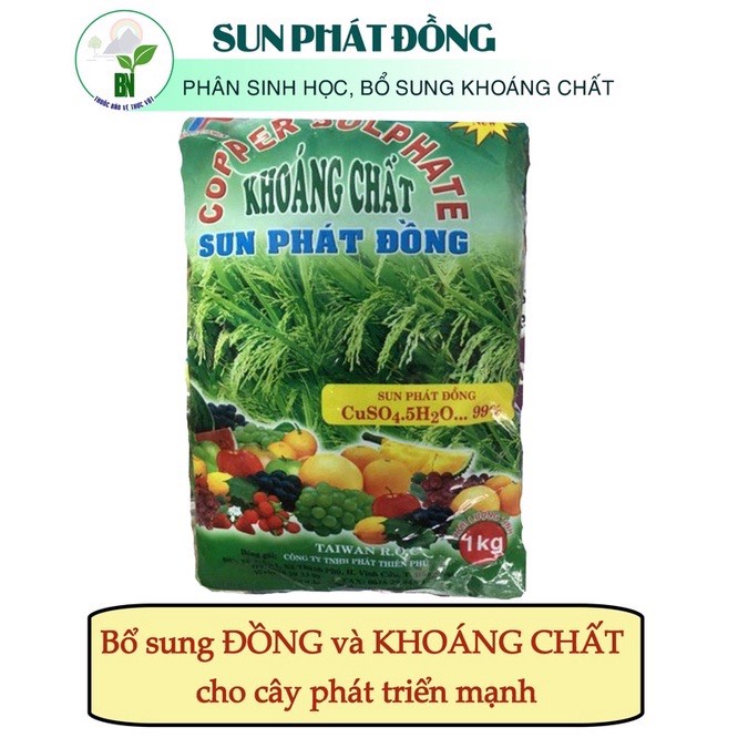 Đồng sunfat - đồng 1kg