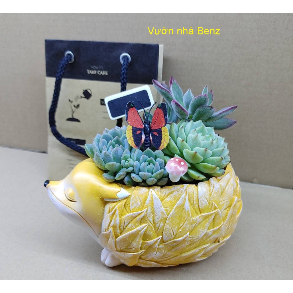 Chậu cún corgi và lá size 10cm x 17cm tặng kèm thú mini tiểu cảnh
