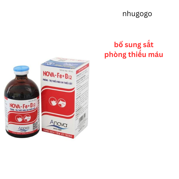 Nova Fe B12 100ml bổ sung sất