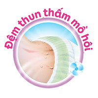 đệm thun thấm mồ hôi