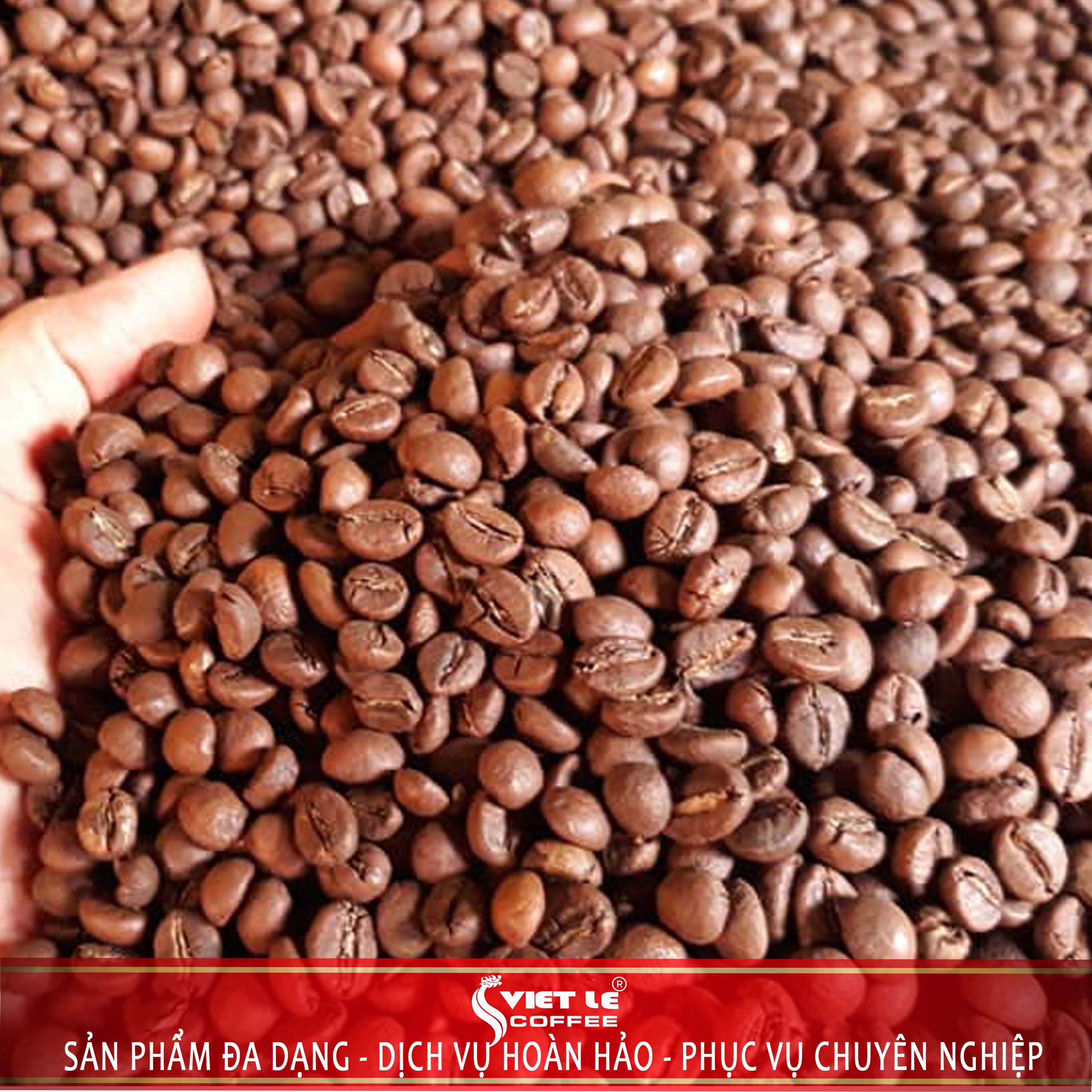 1kg Cà phê Robusta hạt rang mộc VIET LE COFFEE