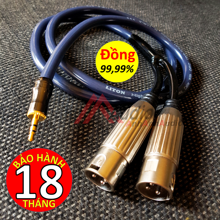 Cáp 3.5 ra 2 đầu canon liton giá 01 sợi