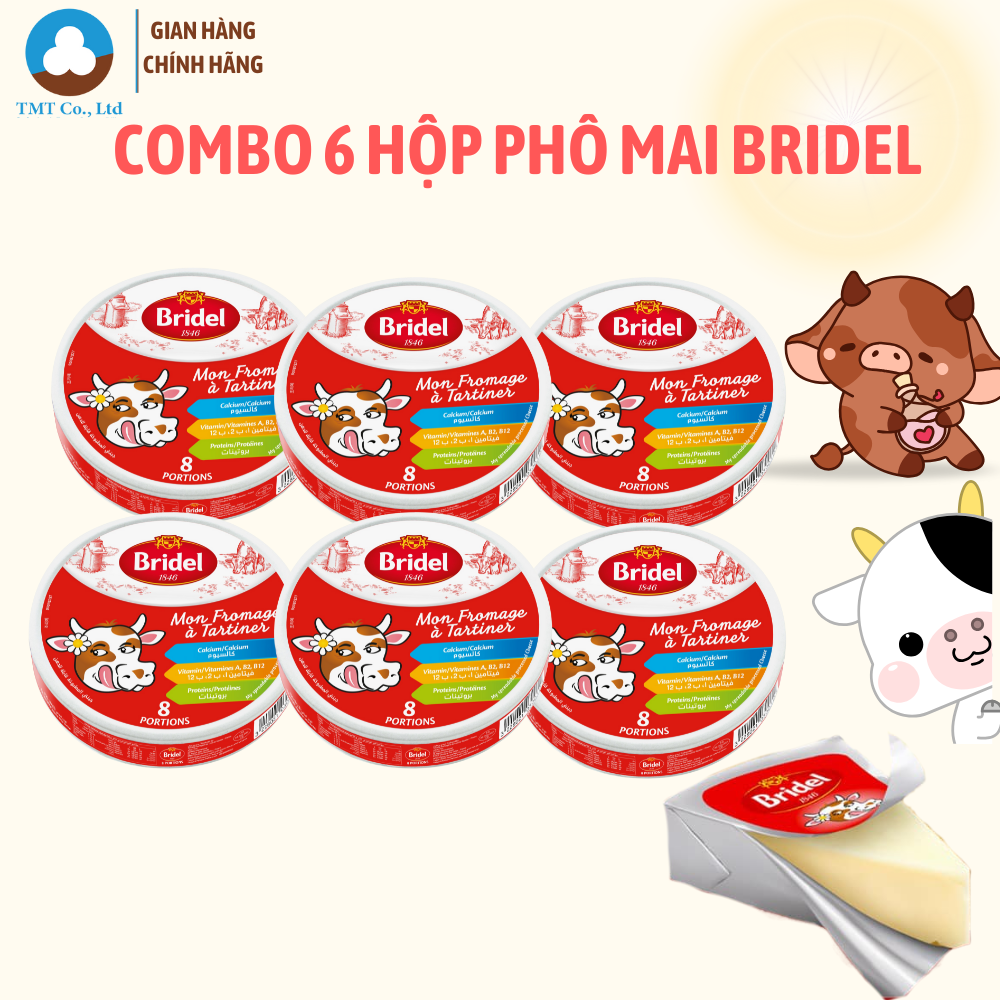 Combo 6 Phô mai miếng phô mai tam giác thương hiệu Bridel hộp 8 miếng nhập khẩu từ Pháp date 25.07.25