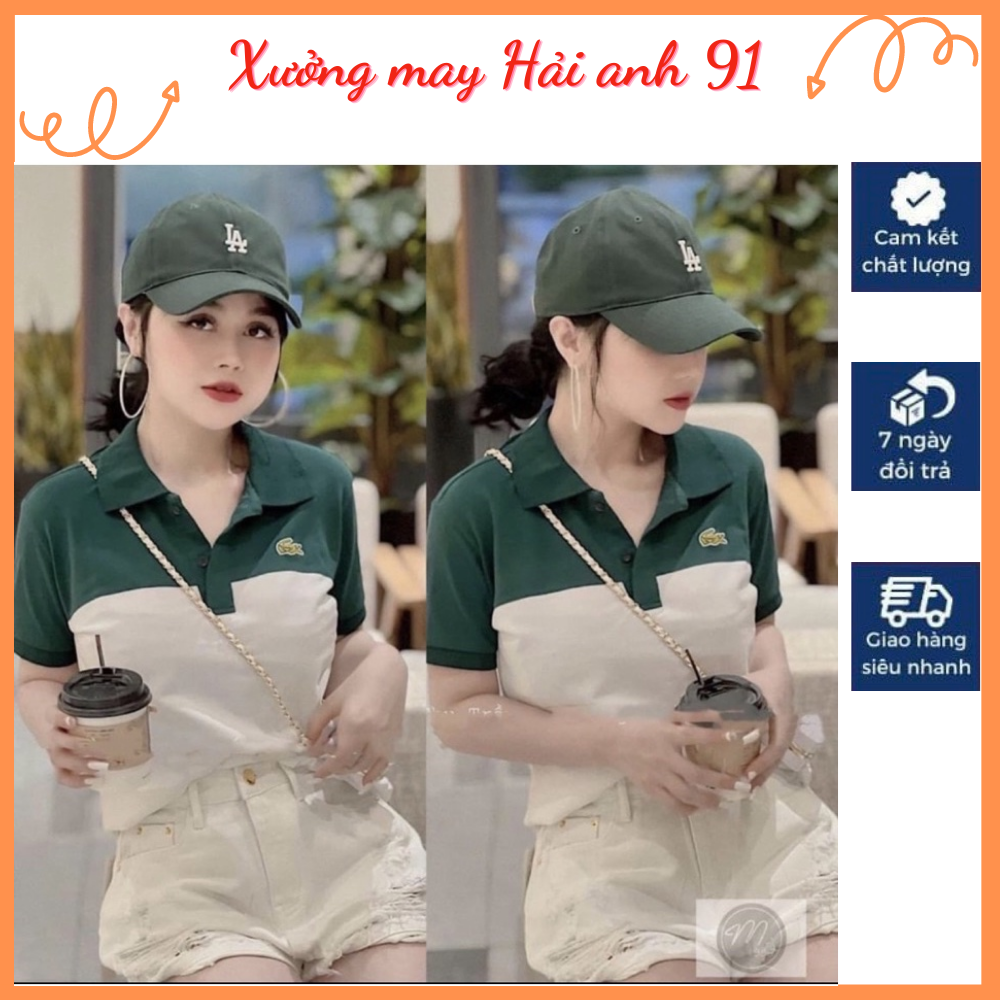 Áo Polo Nữ, Áo Thun Nữ Logo Cá Sấu Phối Màu Xanh Trắng HotHit