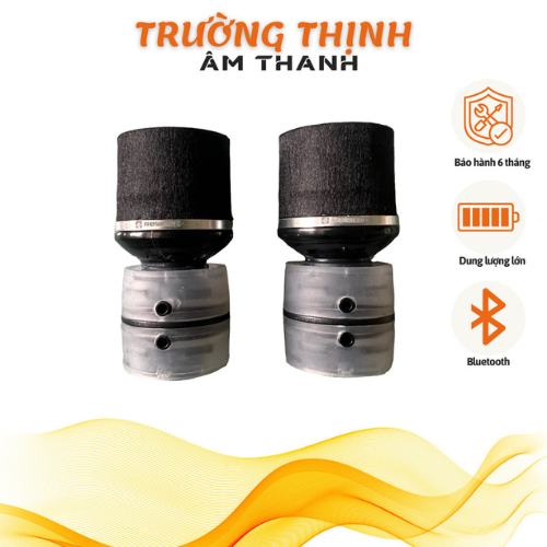 Củ Mic Relacart UR 223D Dòng Cao Cấp Nhất Của Relacart Thiên Về Dải Trung Và Treble Thích Hợp Nhạc Vàng, Bolero