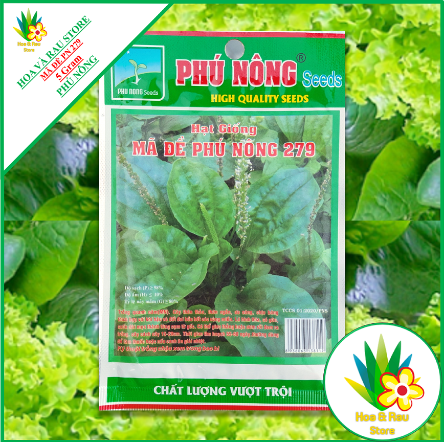 Hạt giống rau mã đề pn 279 - gói 5g - phú nông - hoa và rau store