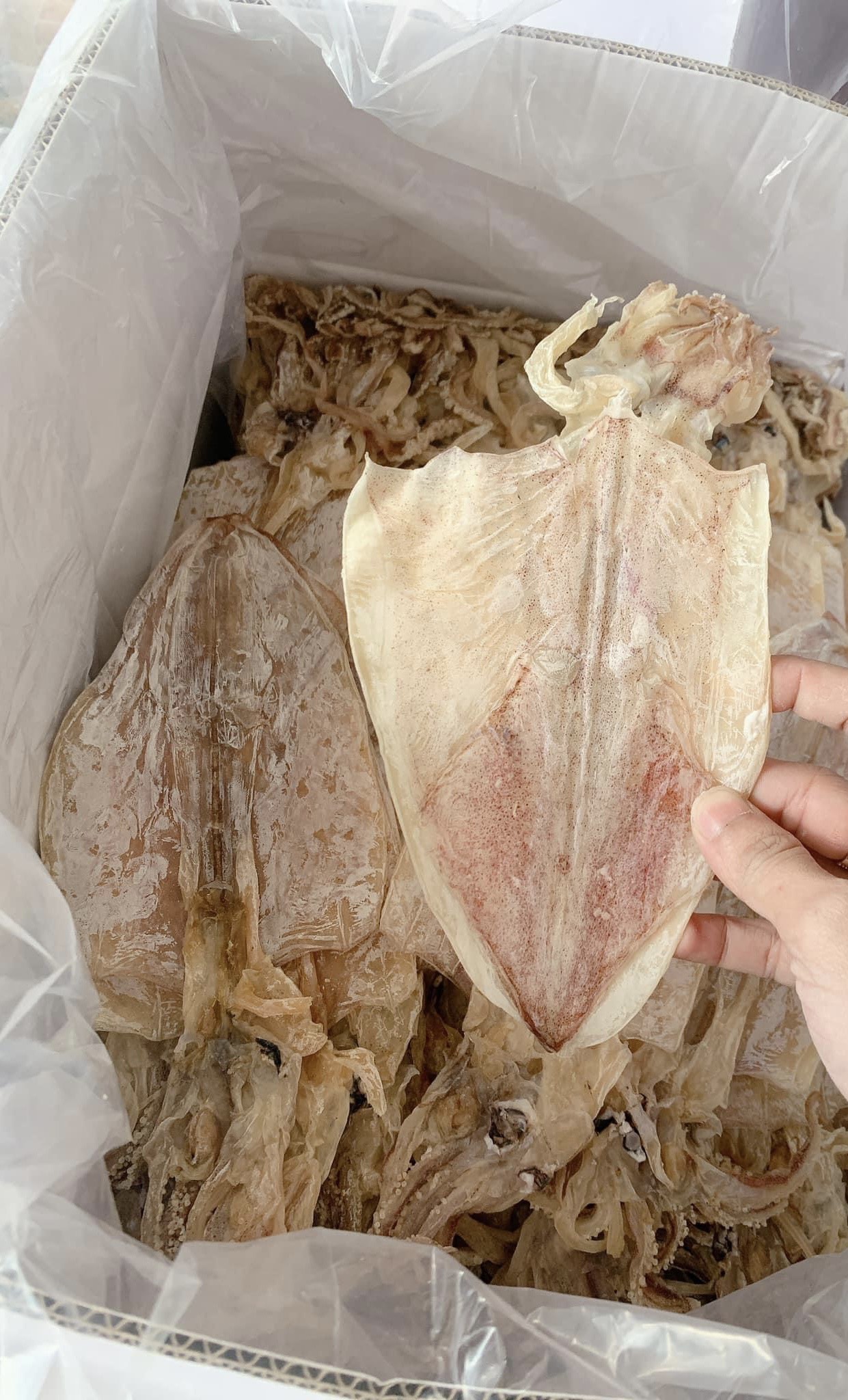 1kg mực khô khánh hòa loại 40-45 con