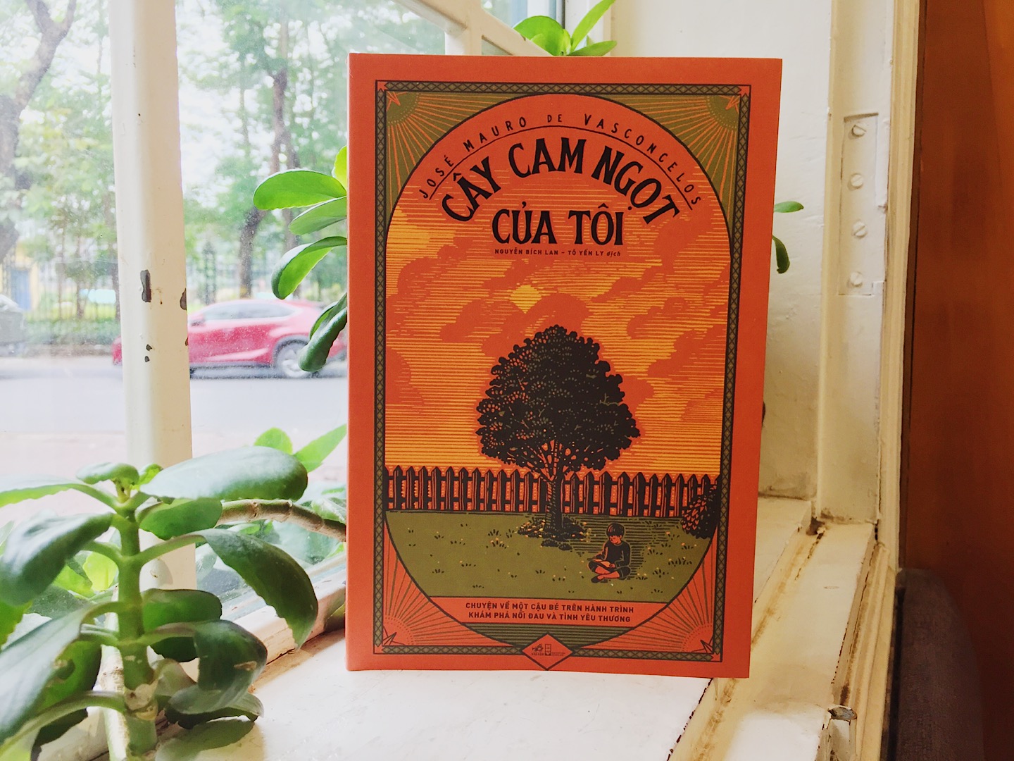Review sách cây cam ngọt của tôi - Câu chuyện về tuổi thơ 1 cây cam ngọt của tôi 1