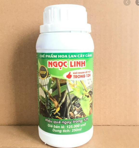 Chế phẩm diệt bệnh thối nhũn Ngọc Linh 12H A8VIP cho hoa phong lan, cây cảnh chai 250ml