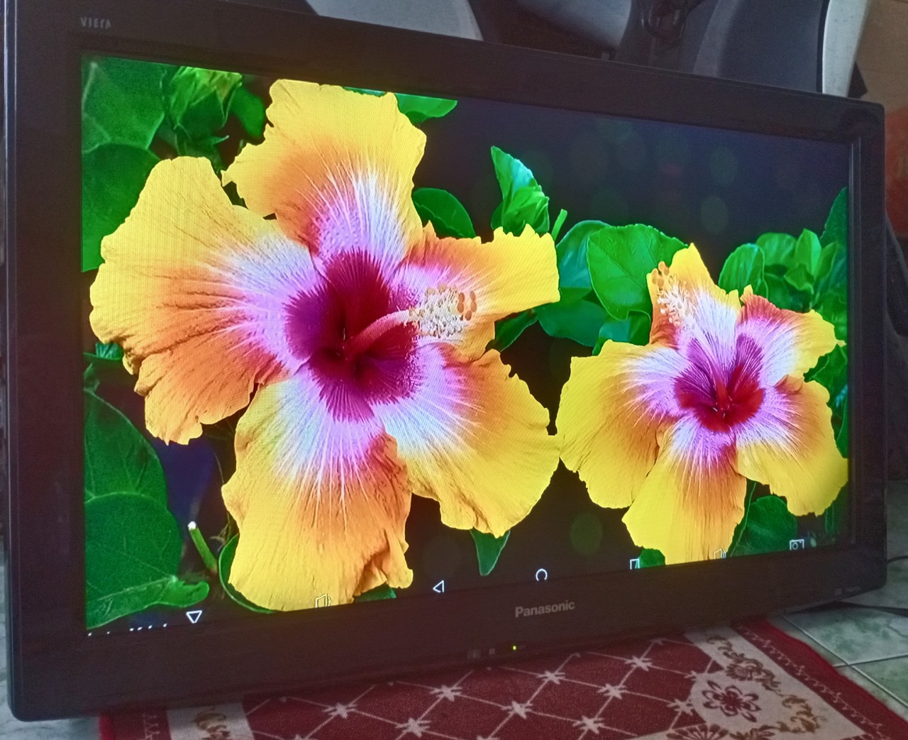 [tivi panasonic 32" nguyên rin - new like 99%] thanh lý