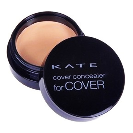 Che khuyết điểm Kanebo Kate Cover Concealer 4g