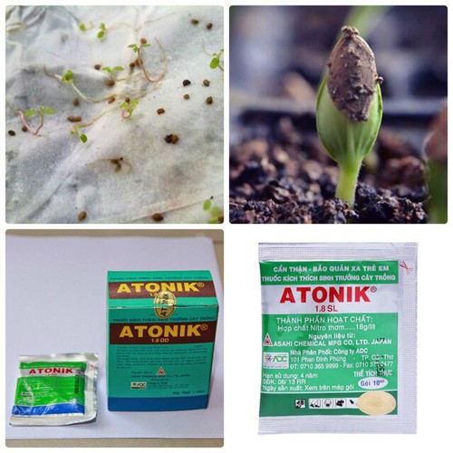 1 hộp Phân bón kích thích sinh trưởng Antonik