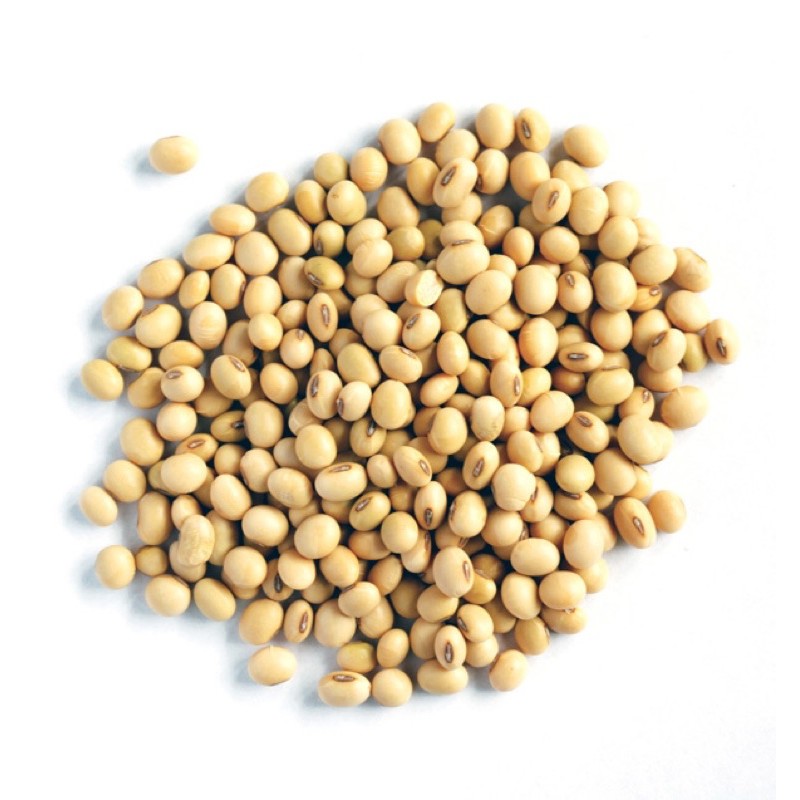 0,5kg đậu nành Phương Lâm hàng chuẩn loại 1