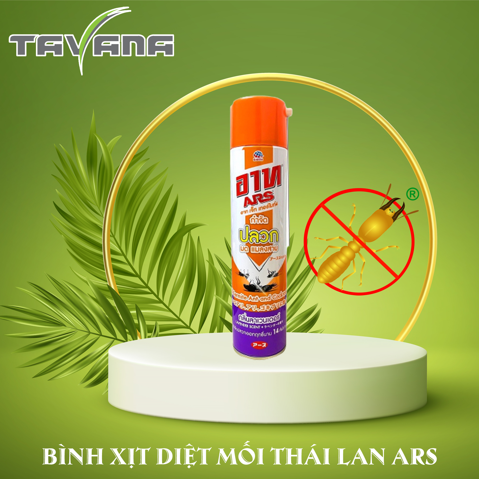 Bình xịt diệt mối thái lan ars jet termite4 600ml