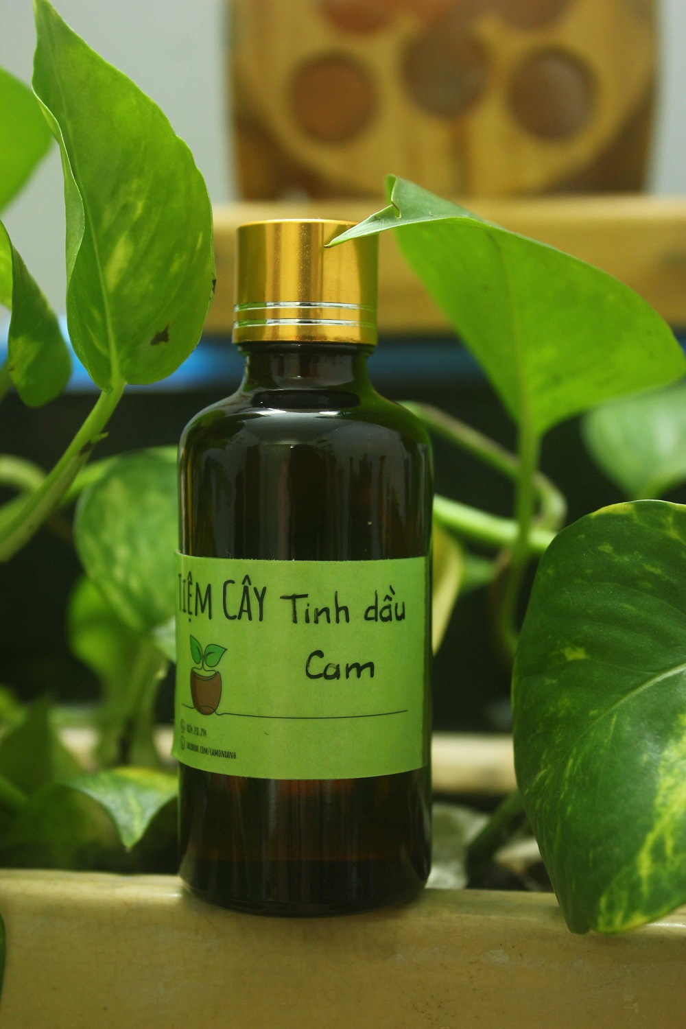 Tinh dầu Cam xông hương an thần - chai 10ml
