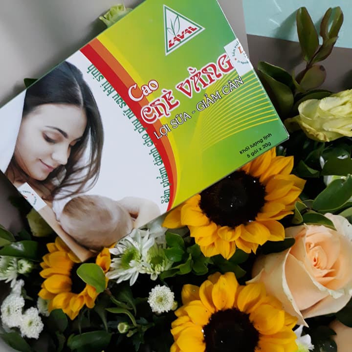 Cao chè vằng lợi sữa-giảm cân lava-