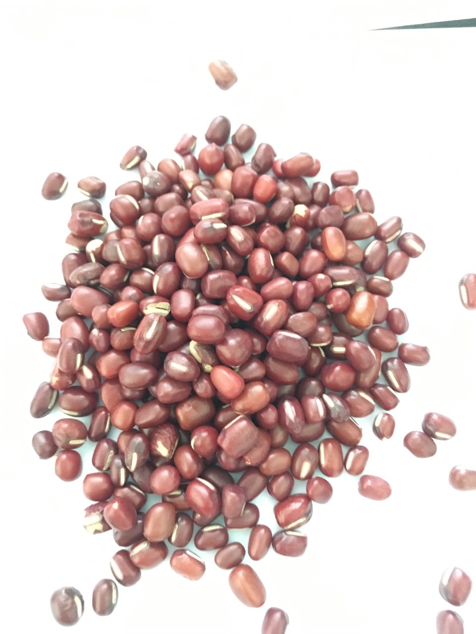 1kg hạt đậu đỏ hạt nhỏ