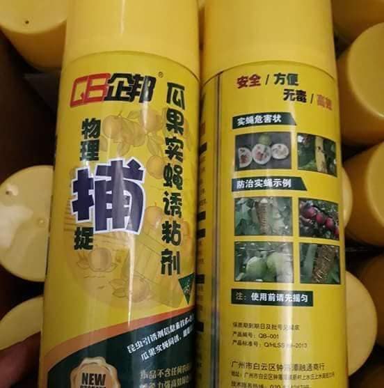 Chai keo xịt dính ruồi vàng hiệu quả