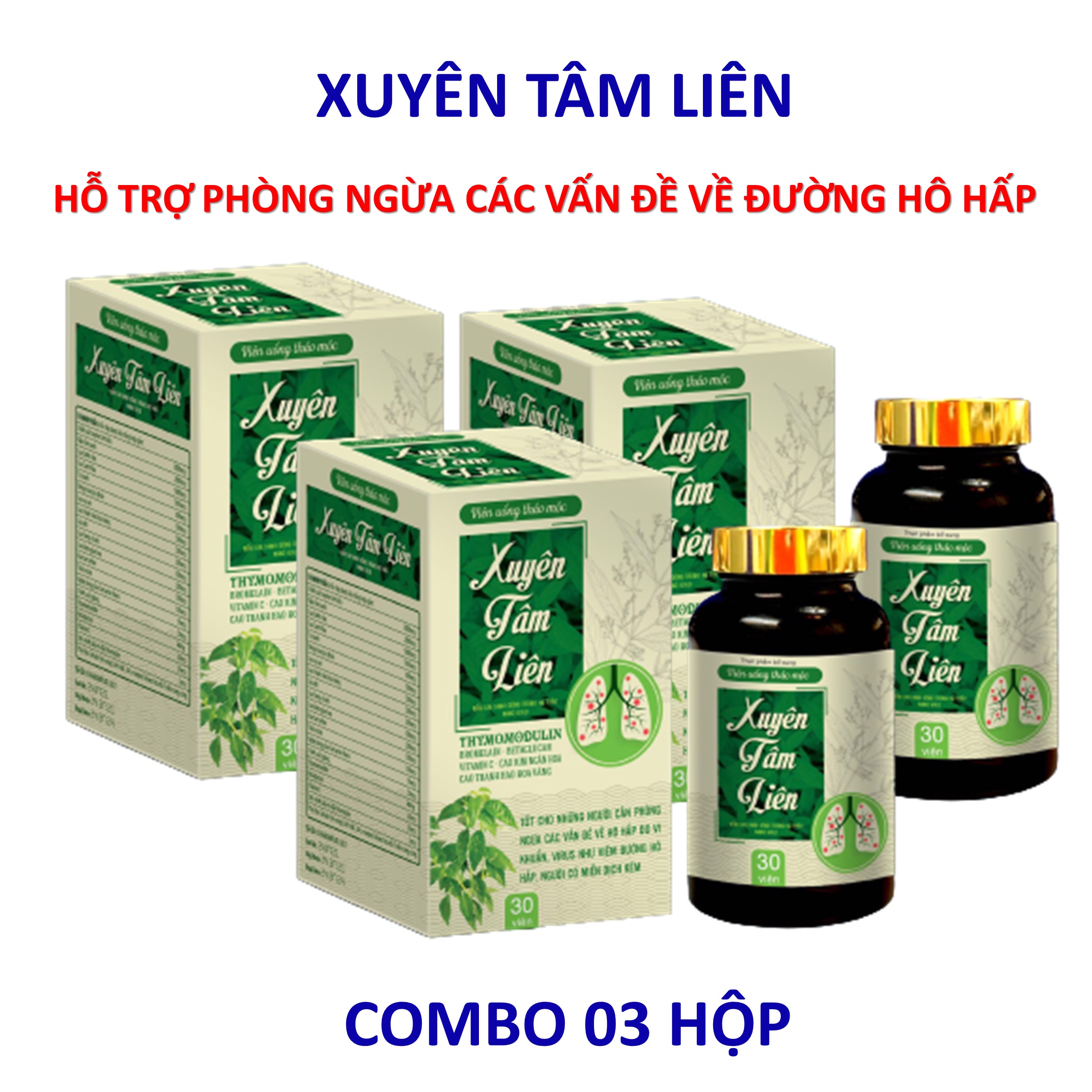 [XUYÊN TÂM LIÊN] Combo 03 hộp Viên uống thảo mộc Xuyên Tâm Liên hỗ trợ phòng ngừa các vấn đề về hô hấp do vi khuẩn virut hỗ trợ tăng cường hệ miễn dịch