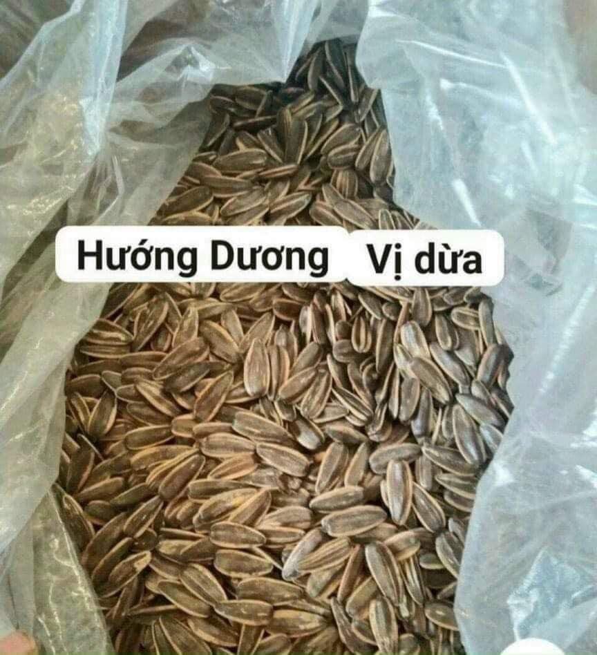 500Gr [ túi zip ] HẠT HƯỚNG DƯƠNG TẨM VỊ DỪA - THƠM NGON[ GIAO HÀNG NHANH 4h HCM]