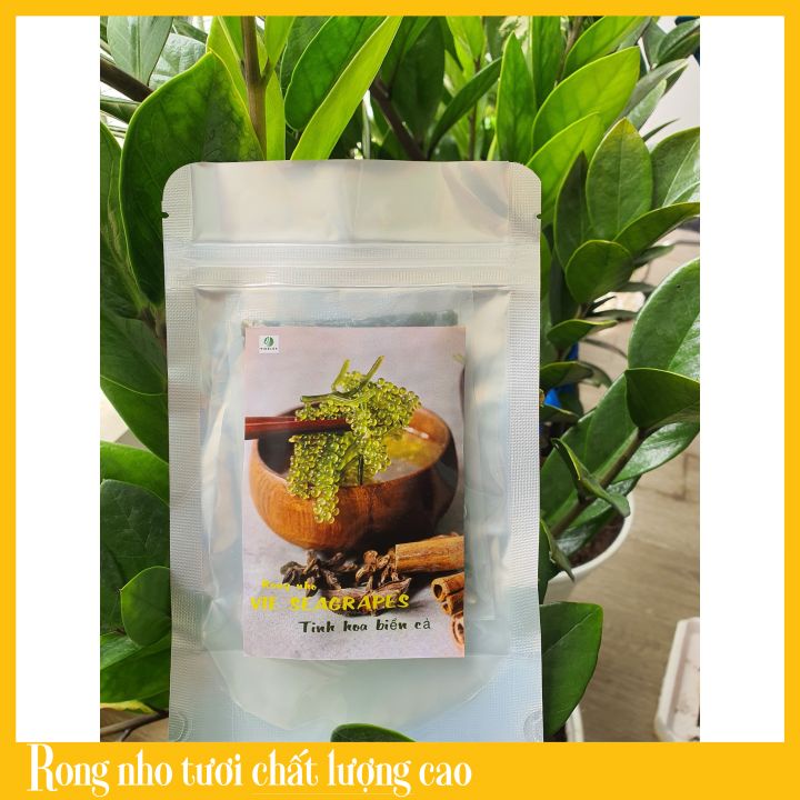 [HCM]Rong Nho Tách Nước Vie Sea Grapes Công Nghệ Tách Nước Tiêu Chuẩn
