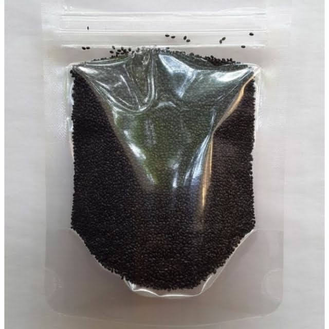 Hạt é 100g