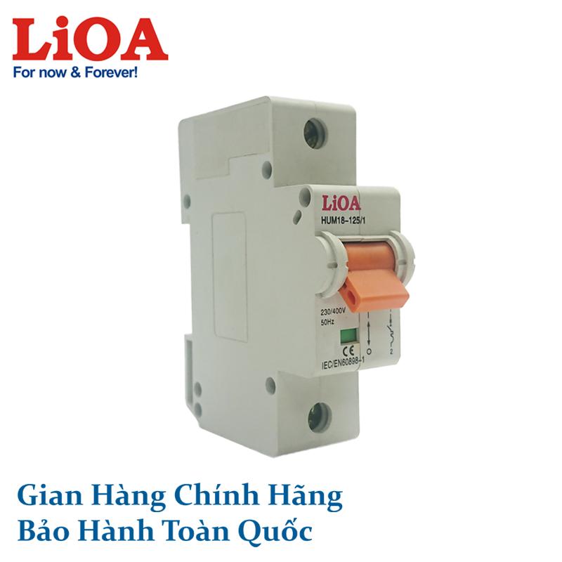 Aptomat lioa 1 cực 100a dòng cắt 10ka