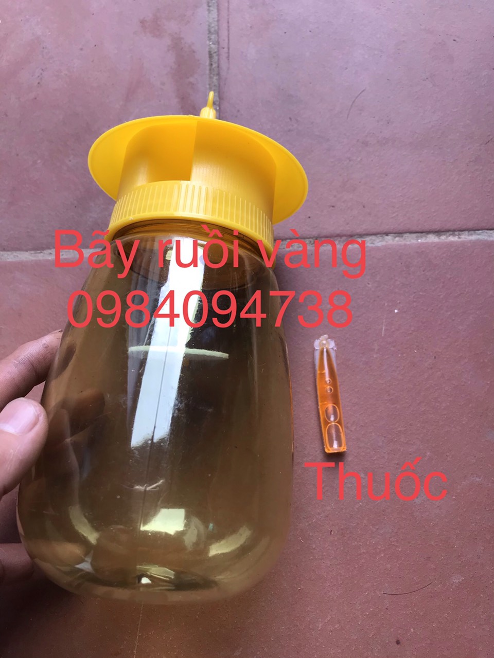 Bộ bẫy ruồi vàng có kèm mồi - bẫy ruồi vàng cao cấp