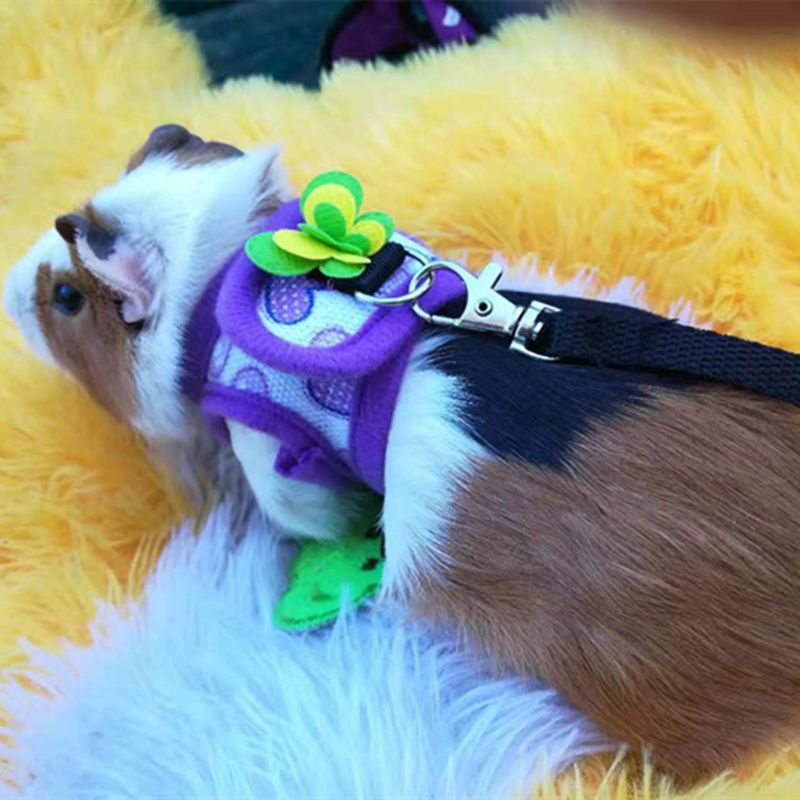 Dây dắt thú cưng đi dạo có thể điều chỉnh tiện dụng cho chuột hamster/ thú cưng cỡ nhỏ