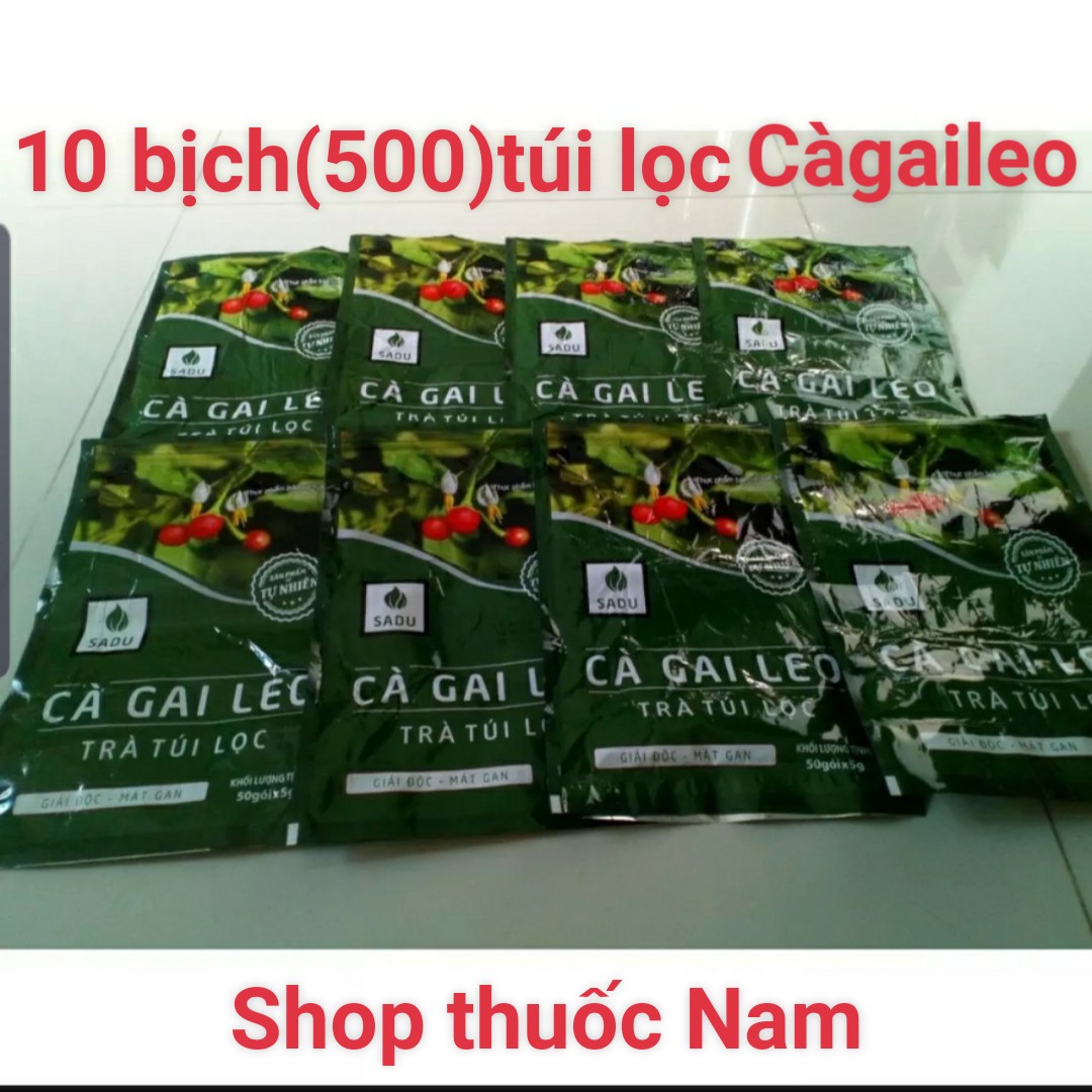 Trà cà gai leo túi lọc Sadu 10 bịch