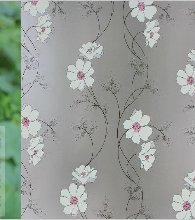 Combo 5 mét decal dán kính mẫu  hoa dây leo