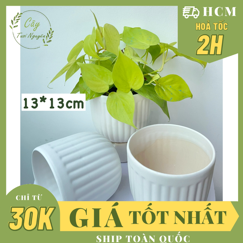 Chậu tráng men mochi kẻ 13*13cm, ,chậu trồng cây, trang trí nội thất, cây tươi nguyên ctn1495