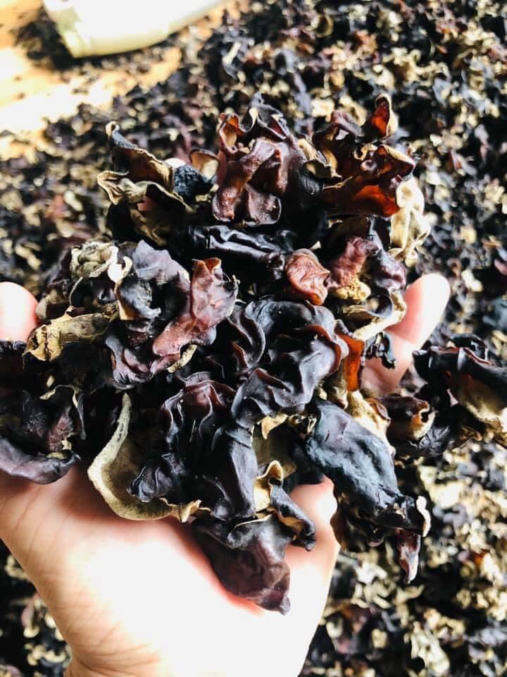 Nấm mèo đen Mộc Nhĩ Rừng Tây Bắc khô phơi nắng tự nhiên Túi 500gr/1kg