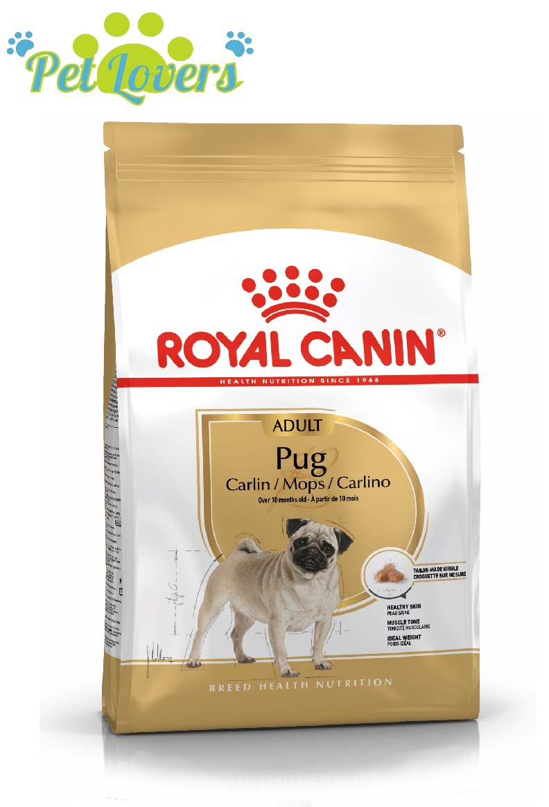 Royal Canin Pug Adult - Thức ăn hạt cho chó Pug trưởng thành 500g và 1.5 kg