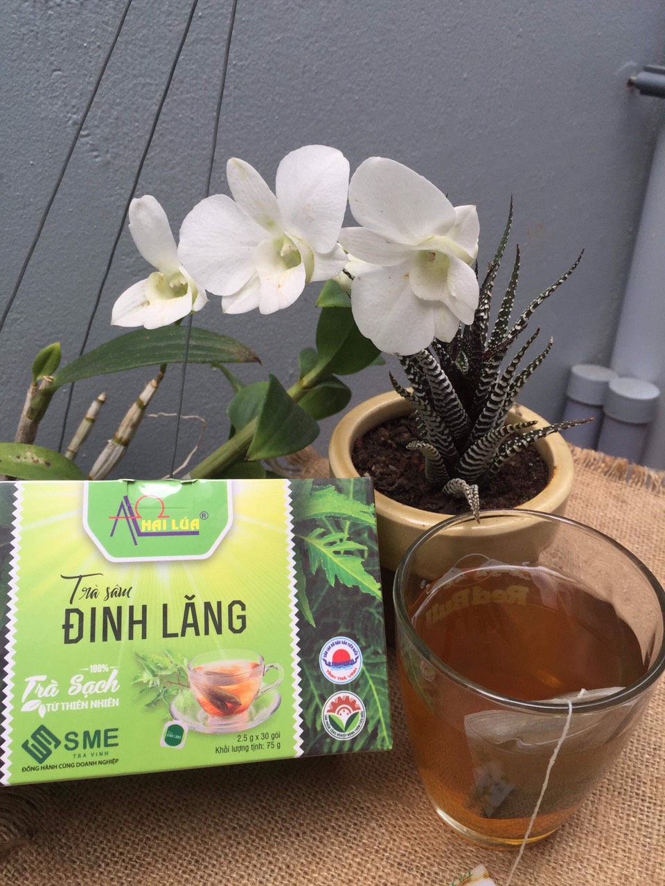 Trà sâm đinh lăng hộp 30 gói