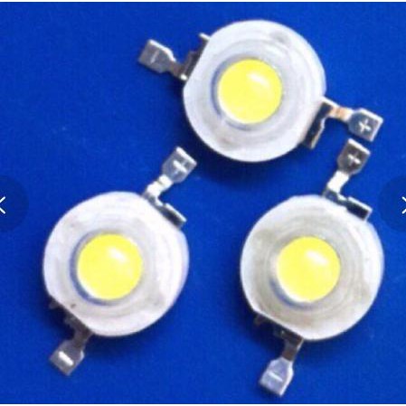 Nhân led 5w