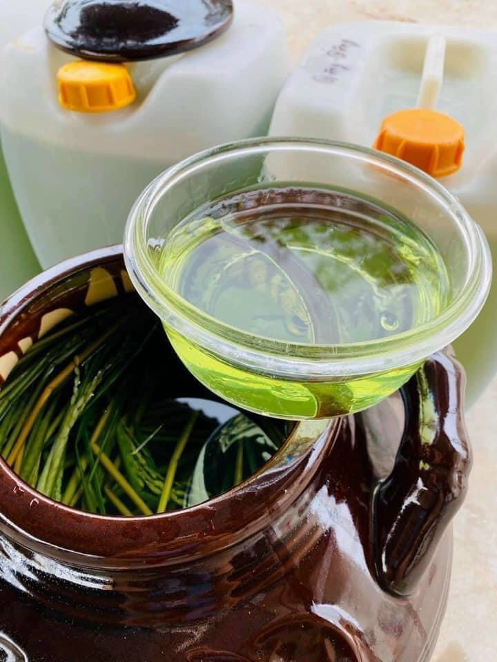 Rượu đòng đòng nếp nương Điện Biên ngâm sẵn chai 1 lít