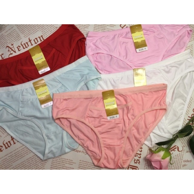 Combo 10 quần lót nữ cotton có túi size lớn 60-70kg