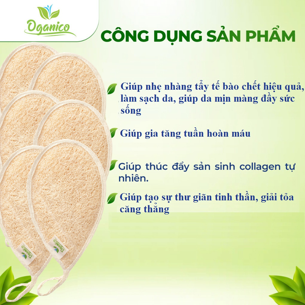 Bông tắm xơ mướp / LOOFAH / Cọ lưng kèm bông tắm xơ mướp tự nhiên giọt nước lớn, chà lưng, tẩy tế bào chết body