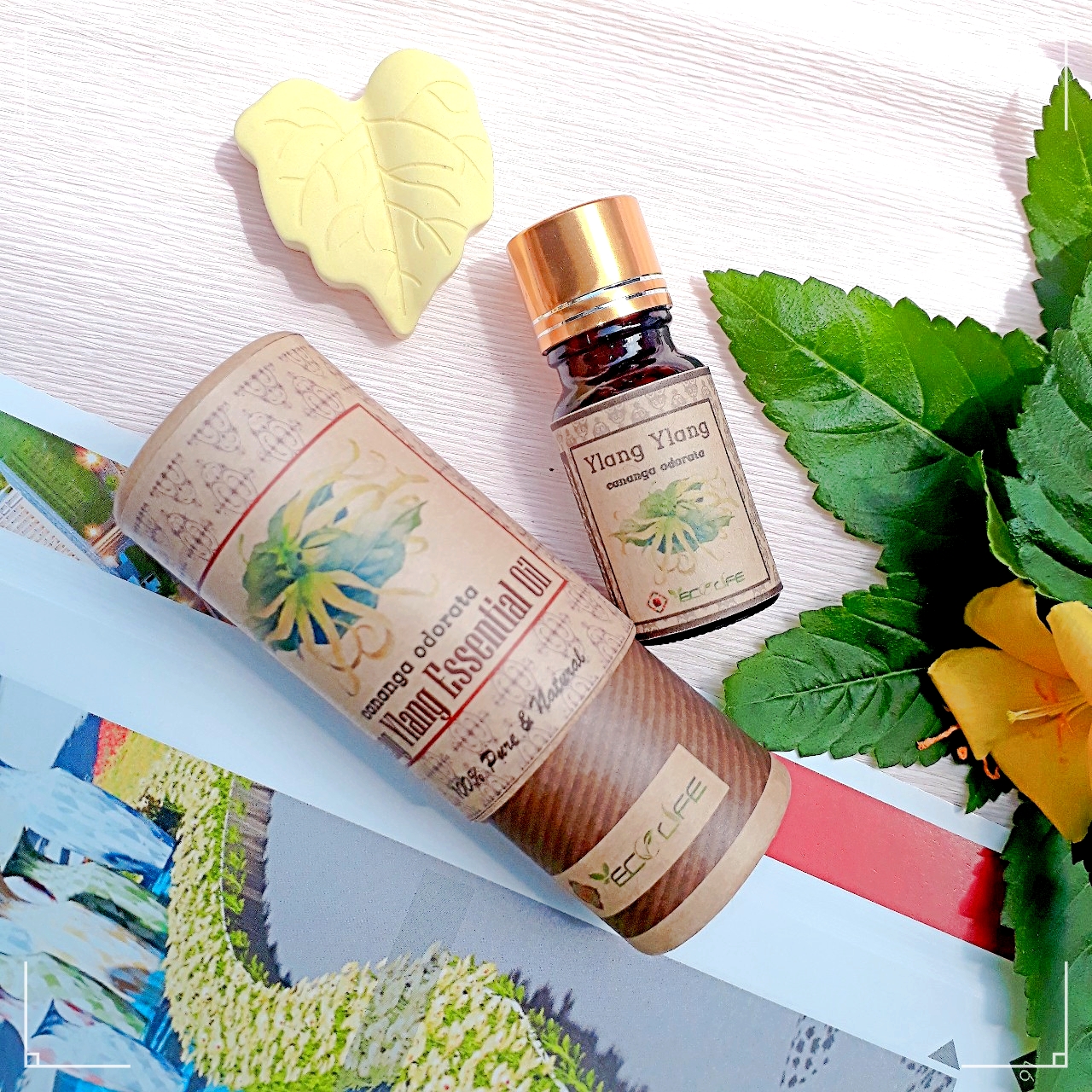 Tinh dầu thơm gợi cảm cho phái nữ ngọc lan tây Ecolife