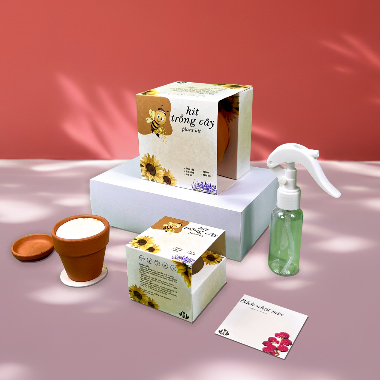 Kit trồng cây mini - bộ trồng cây hạt giống hoa bách nhật mix | plant kit - gomphrena globosa mầm xinh