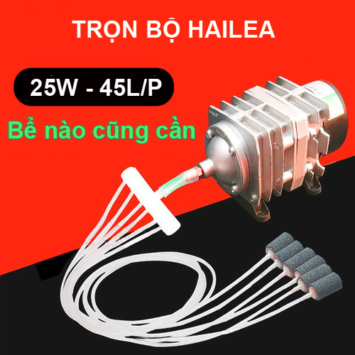 Máy Sủi Điện 6 đầu vòi -Hailea ACO-208 Dành Cho Bể Cá/Hồ Cá Cảnh  máy thổi oxy cho hồ bể cá 25w  máy sục khí bể cá điện 220v máy sục oxy  máy sục khí bể cá mini  máy sục khí  máy sục khí mini  máy sục oxi bể cá
