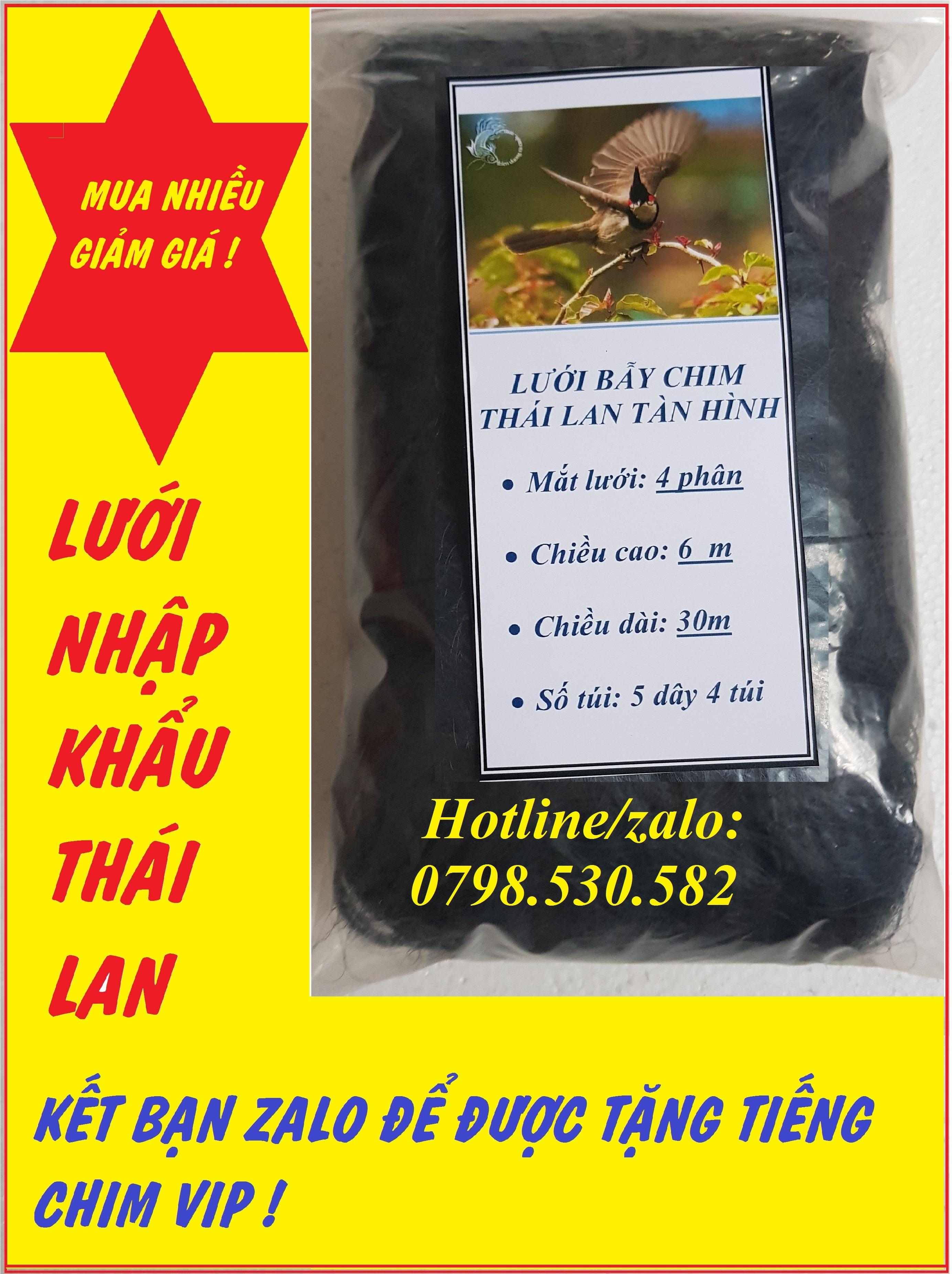 lưới tàn hình 4 phân 30m lưới bẫy chim ri, sắc ô,sẻ.chao chảo.chào mào  khuyên mắt 4 phân cao 6m 5 dây 4 túi