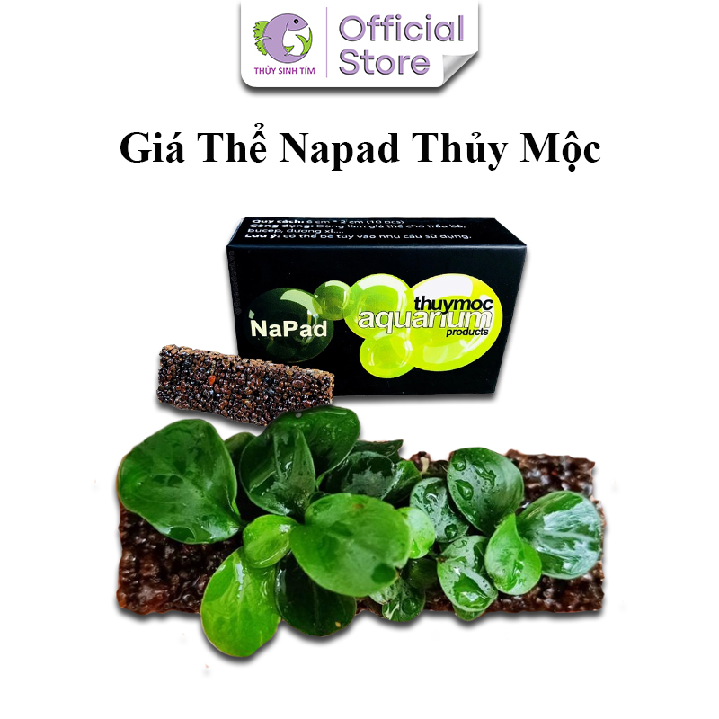 Giá thể napad gắn cây thủy sinh