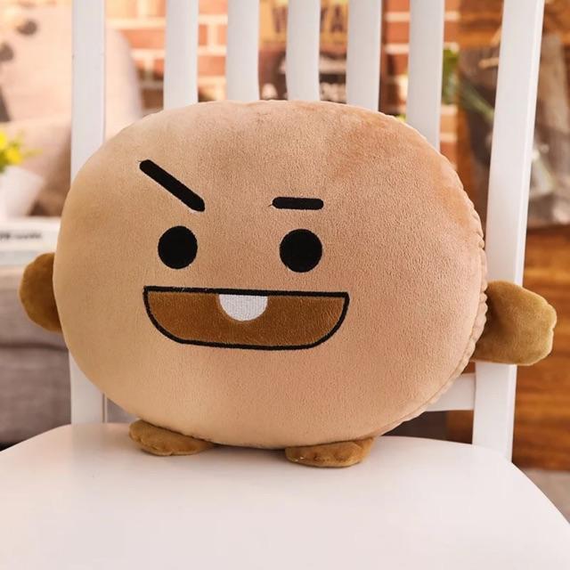 Gấu bông bt21. size cực lớn