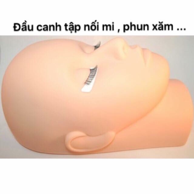 [HCM]đầu canh học nối mi