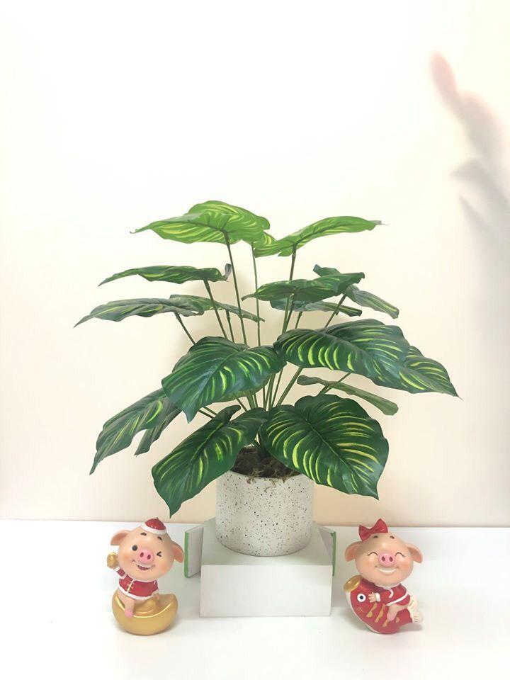 Cây giả - Cây trầu bà cao 45cm