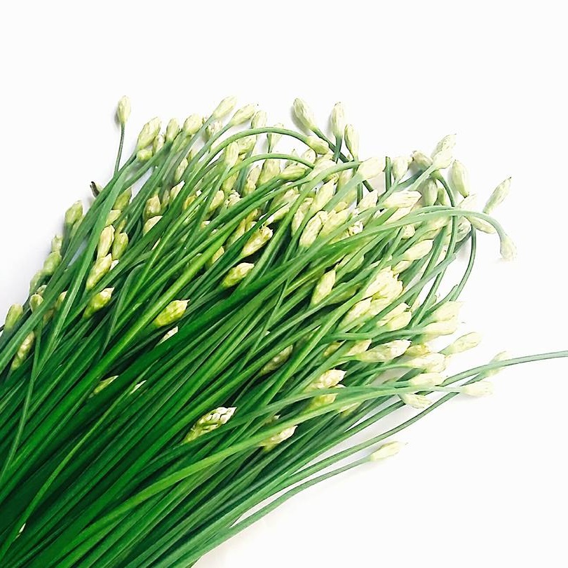 Hạt giống hẹ ăn bông vts181 | vạn tín store